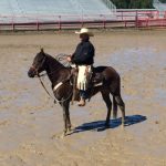 Zansational Dream - Ranch Rodeo