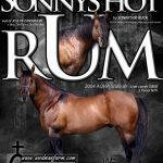Sonnys Hot Rum - 2018 Stallion Poster