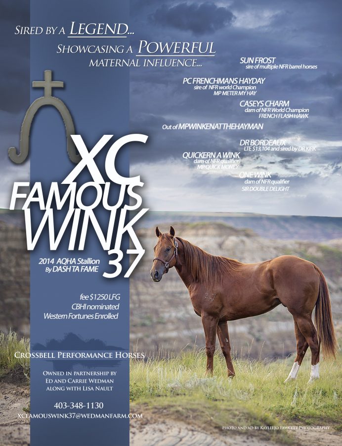 XC Famous Wink 37 - 2018 Stallion Poster