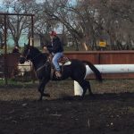 Zansational Dream - Roping