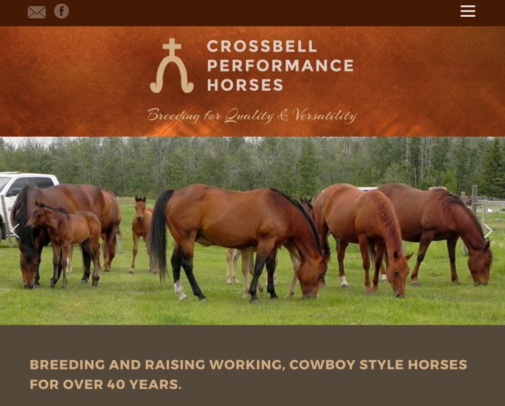 CrossBell Performance Horses