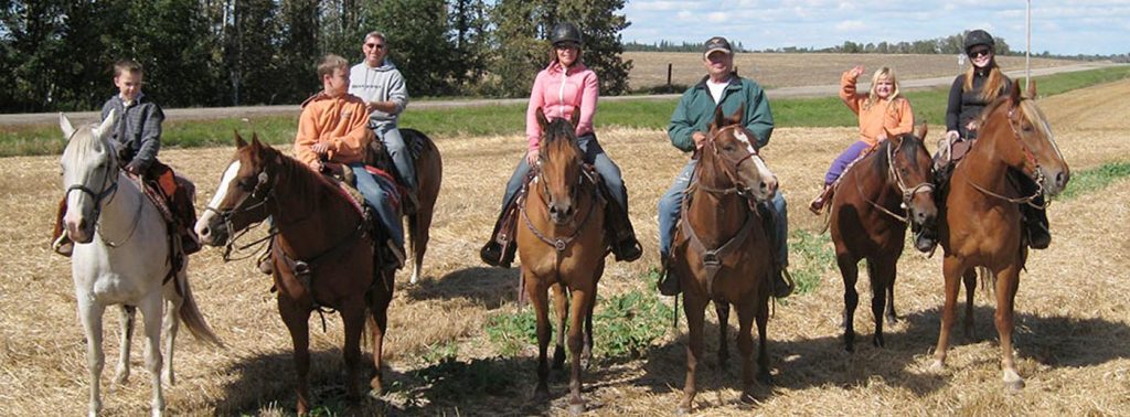 CrossBell Performance Horses