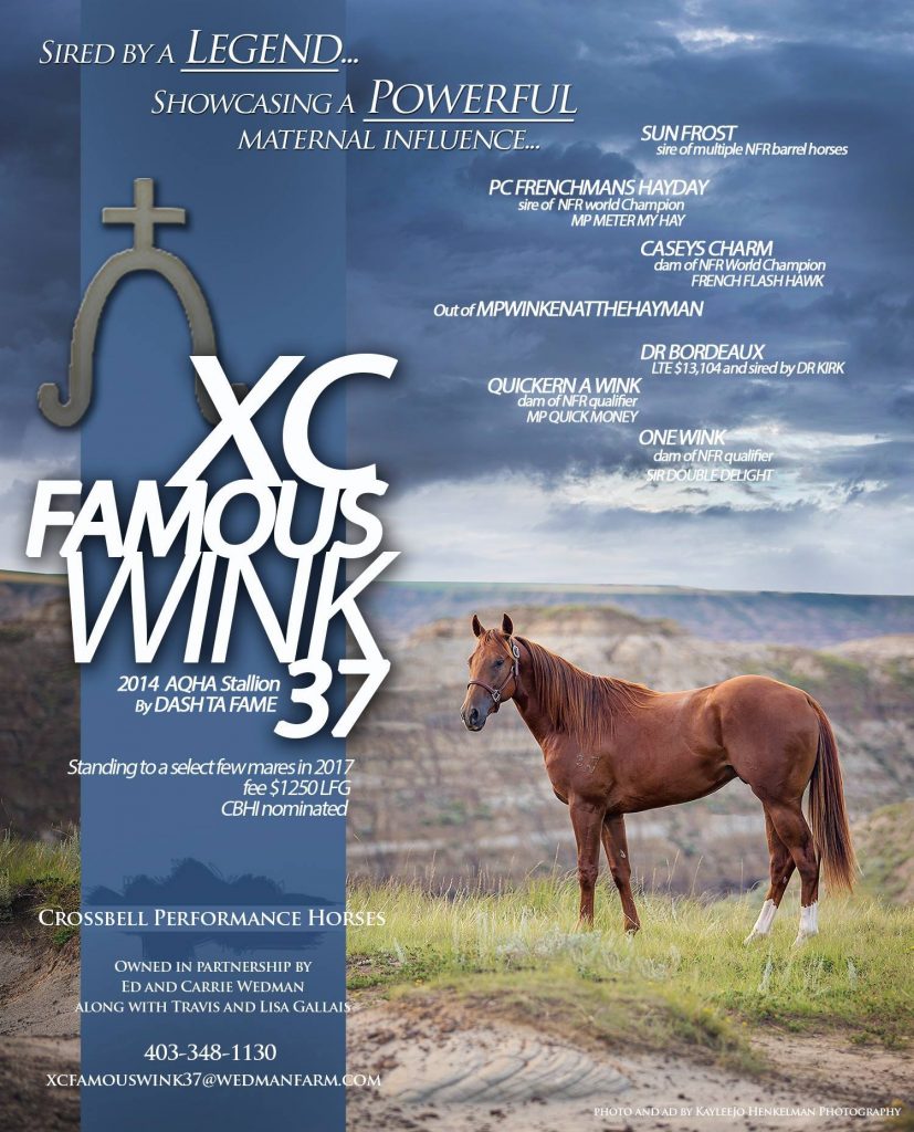 XC Famous Wink 37