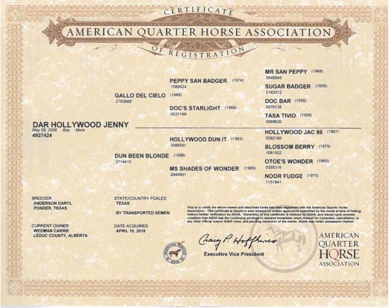 DAR Hollywood Jenny AQHA Papers