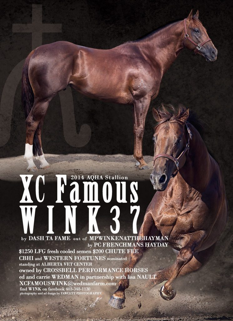 XC Famous Wink 37