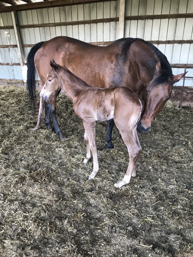 Gimme A Naughty Wink