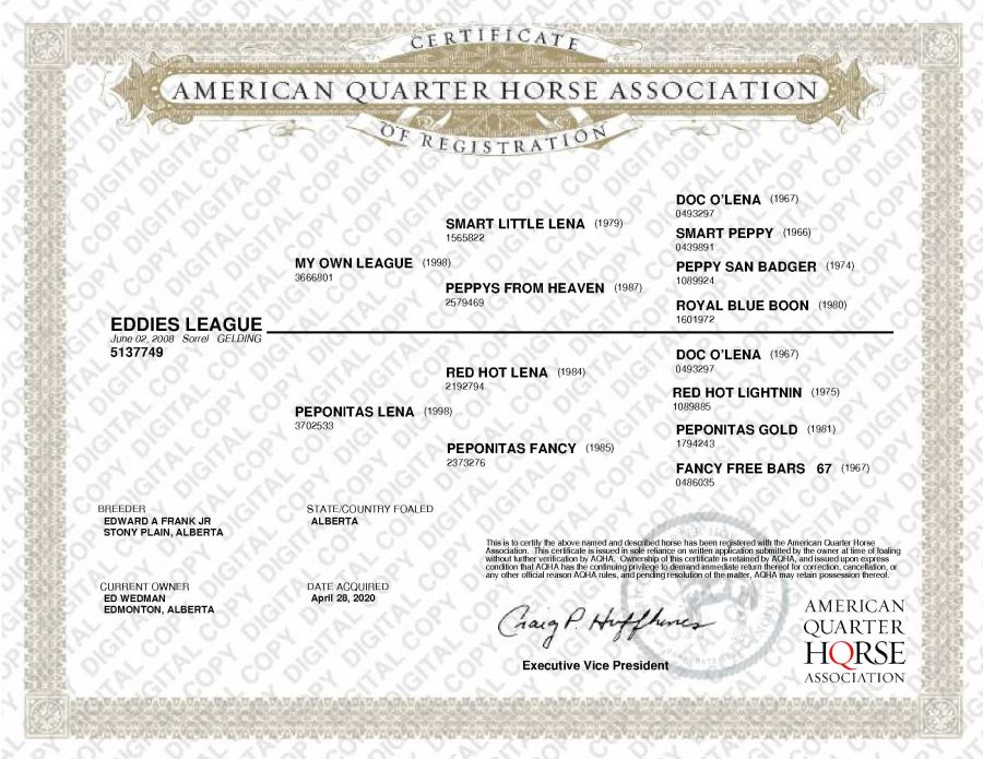 Eddies League AQHA Papers