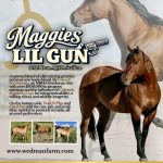 Maggies Lil Gun - 2026 Poster