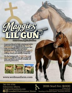Maggies Lil Gun - 2026 Poster